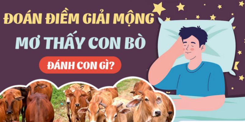 Giấc chiêm bao có con bò mang điềm xấu hay tốt?