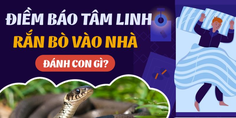 Chiêm bao thấy rắn bò vào nhà