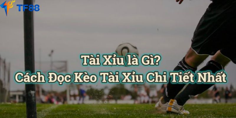 Cách đọc và tính kèo tài xỉu siêu đơn giản