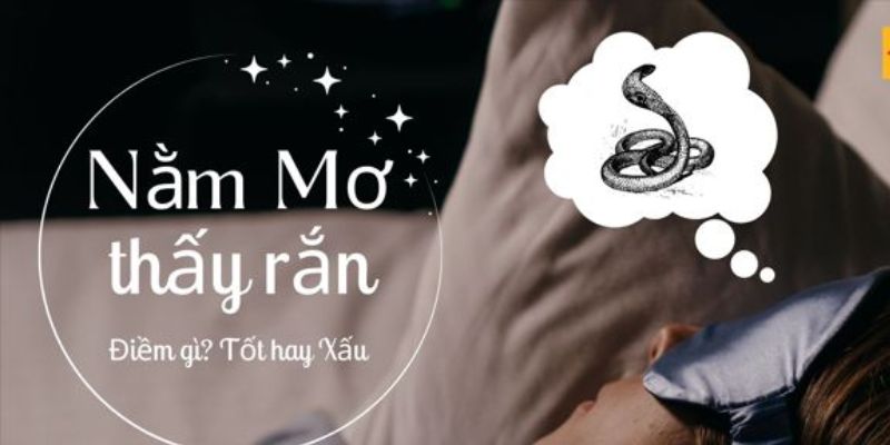 Đi Tìm Những Thông Tin Về Giấc Mơ Thấy Rắn Cụ Thể Chi Tiết