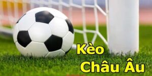 Kèo Châu u Là Gì? Hướng Dẫn Cách Chinh Phục Kèo 1x2 Đơn Giản