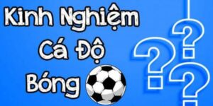 Kinh Nghiệm Cá Cược Bóng Đá Chuẩn 99% Theo Chuyên Gia