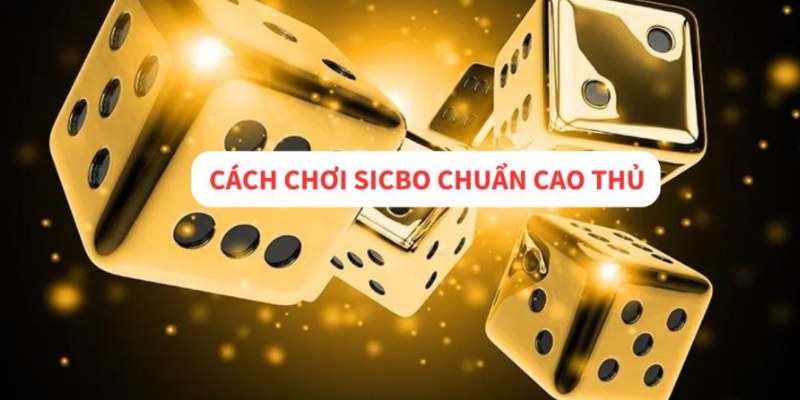 Soi Kèo Sicbo Chuẩn Tới 99% Theo Cao Thủ Đầu Ngành